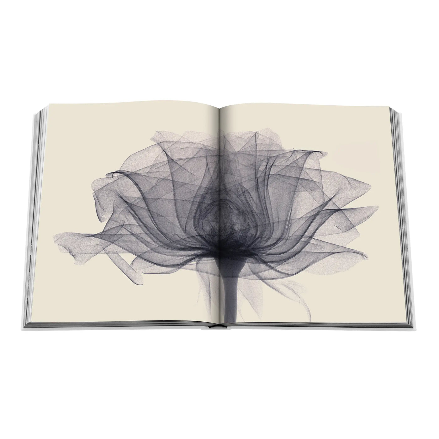 Flowers: Art & Bouquets Inside Page