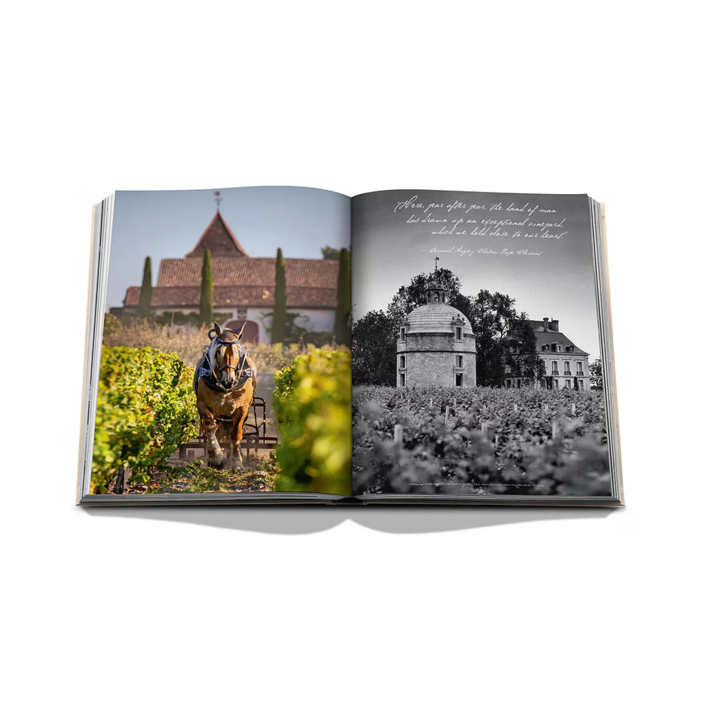 Wine & Travel France Assouline Book