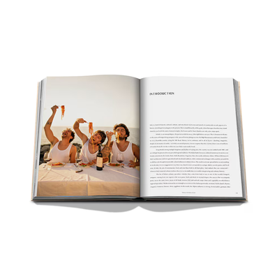 Wine & Travel Italy Assouline Book