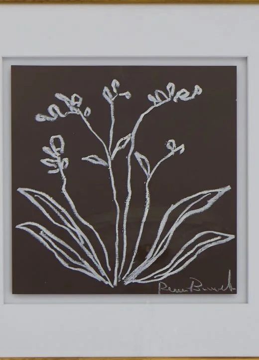 Botanical line drawing