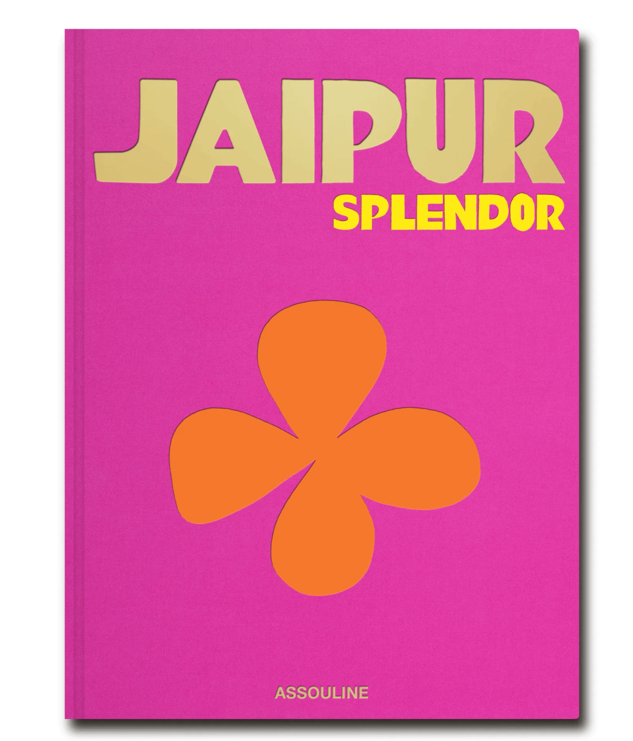 Pink Jaipur Assouline Book